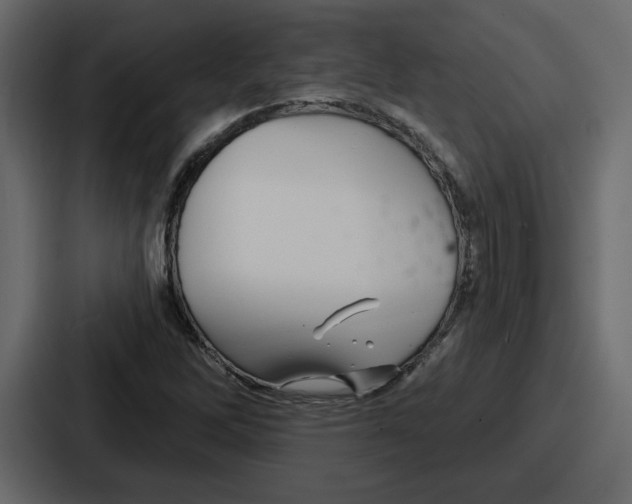 X0000086781262200705111748