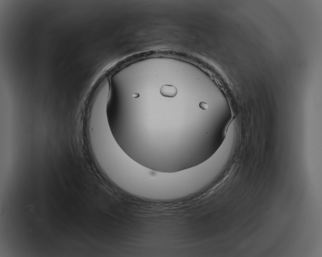 X0000086781263200705111748