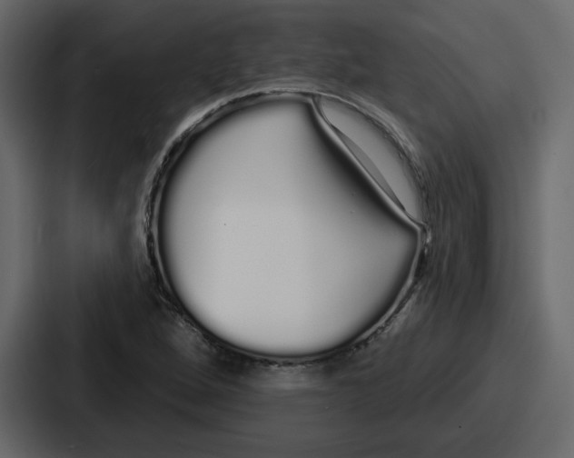 X0000086781264200705111748