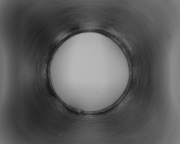 X0000086781265200705111748