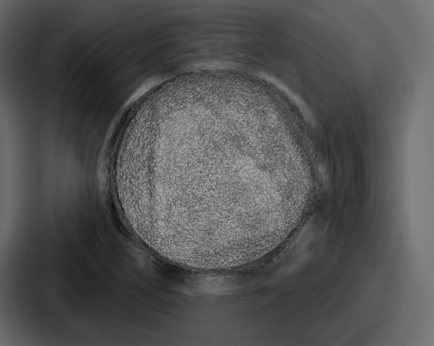 X0000086781266200705111748