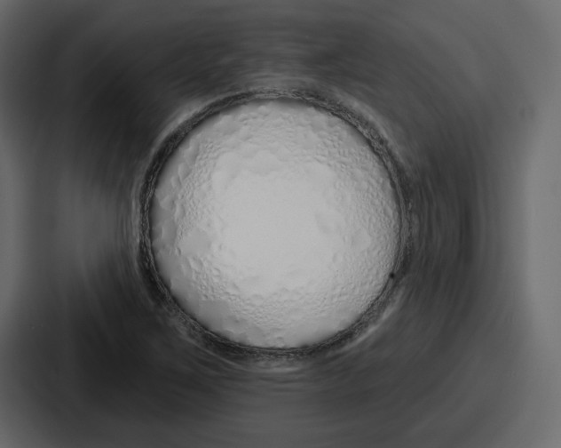 X0000086781267200705111748