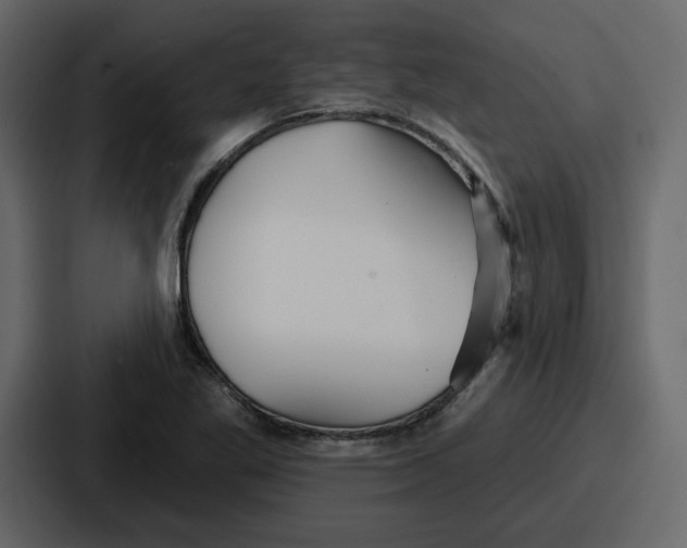 X0000086781269200705111748