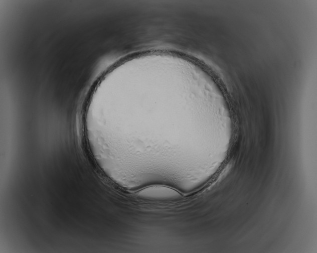 X0000086781271200705111748