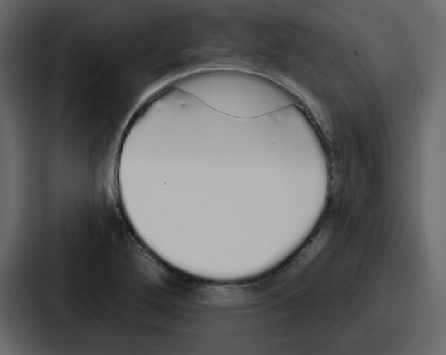 X0000086781272200705111748