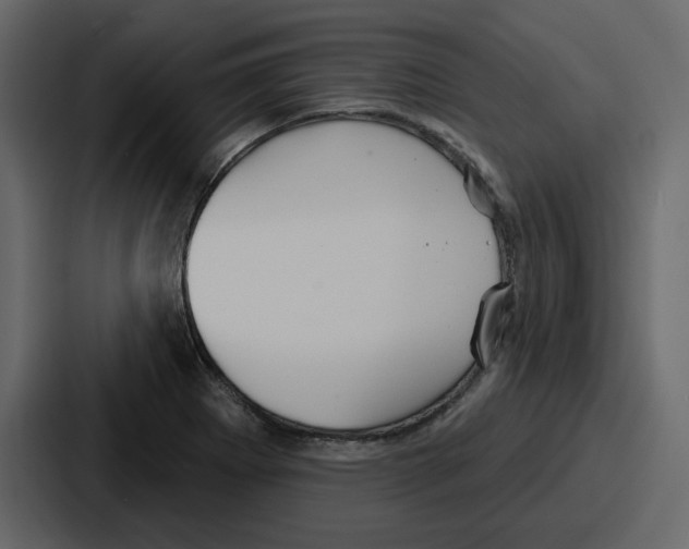 X0000086781273200705111748