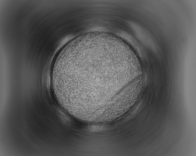 X0000086781274200705111748