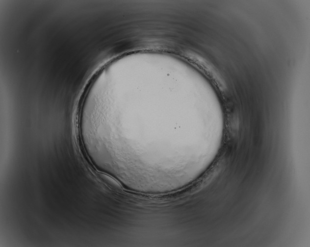 X0000086781275200705111748