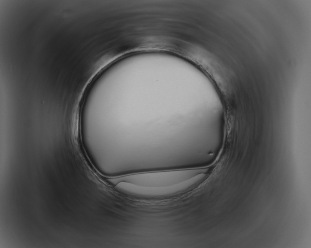 X0000086781276200705111748