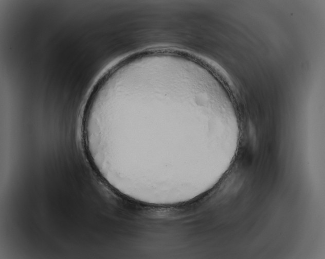 X0000086781279200705111748