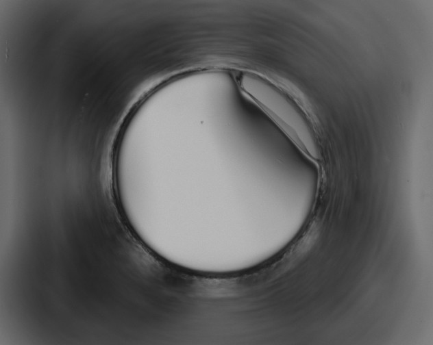 X0000086781280200705111748