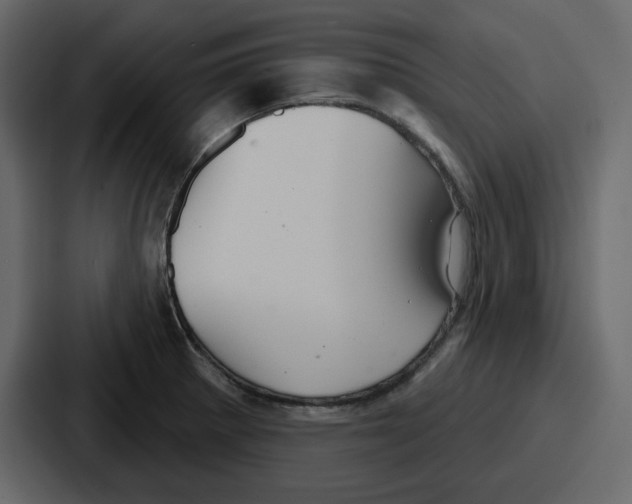 X0000086781281200705111748