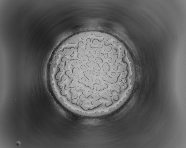 X0000086781282200705111748