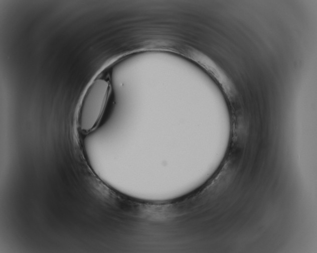 X0000086781284200705111748