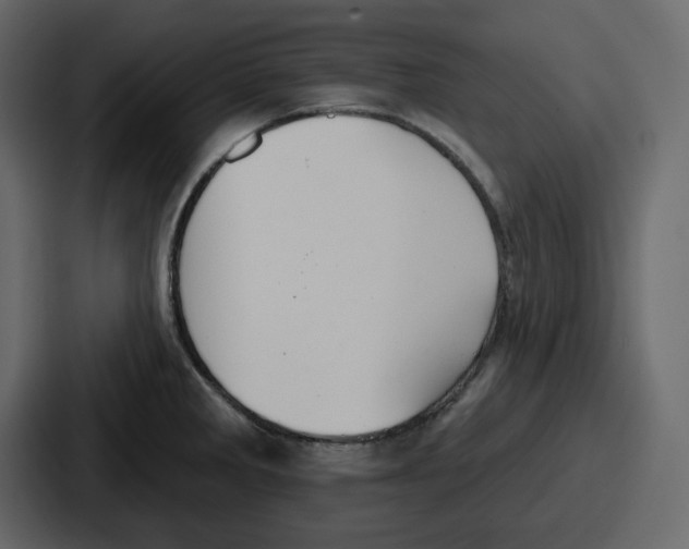 X0000086781285200705111747