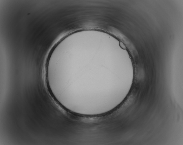 X0000086781286200705111747