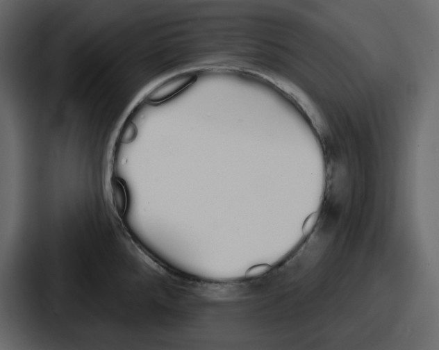 X0000086781288200705111747