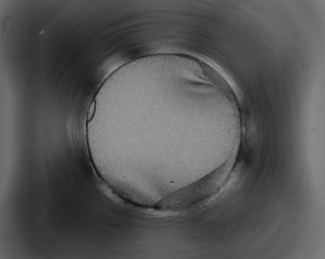 X0000086781289200705111747