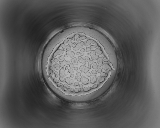 X0000086781290200705111747