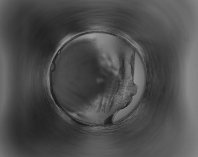 X0000086781291200705111747