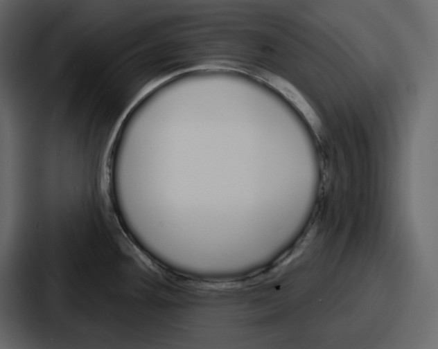 X0000086781292200705111747