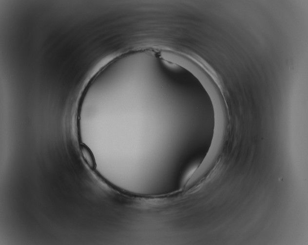 X0000086781293200705111747