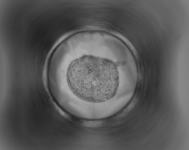 X0000086781294200705111747