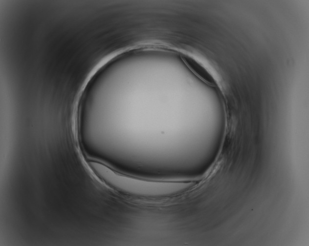 X0000086781295200705111747