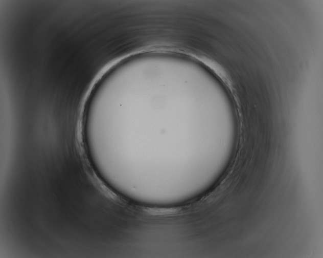 X0000086781296200705111747