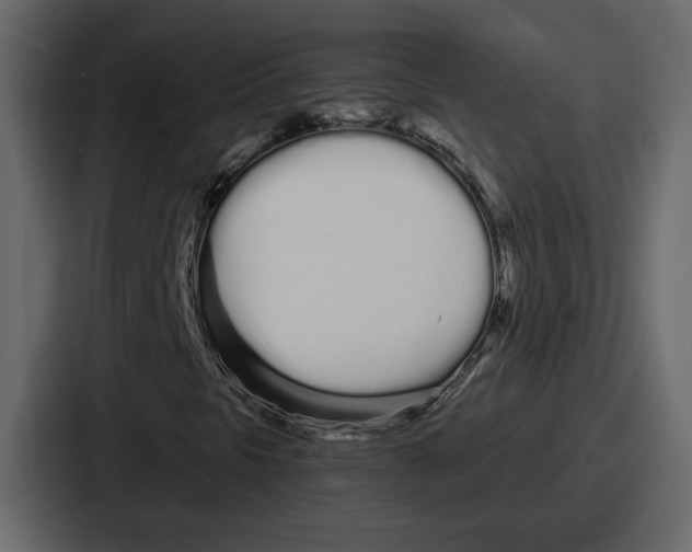 X0000086781297200705111747