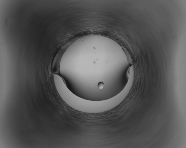 X0000086781298200705111747