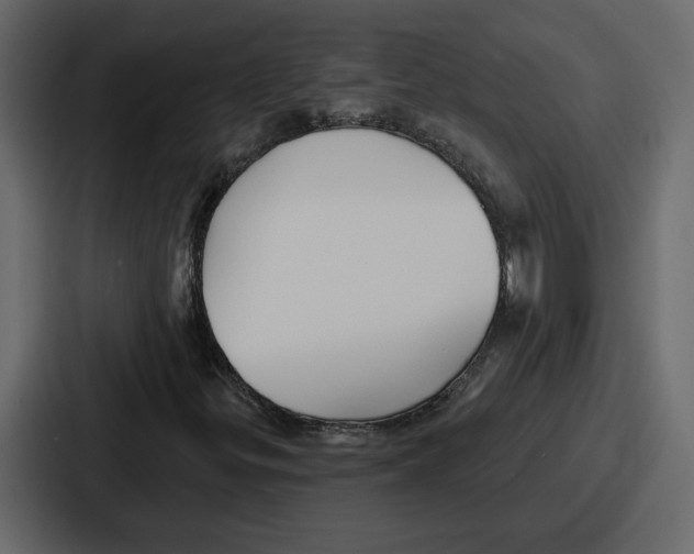 X0000086781299200705111747