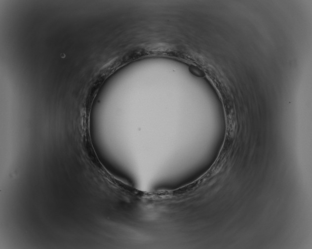 X0000086781301200705111747