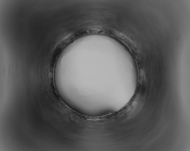 X0000086781302200705111747