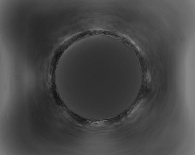 X0000086781303200705111747