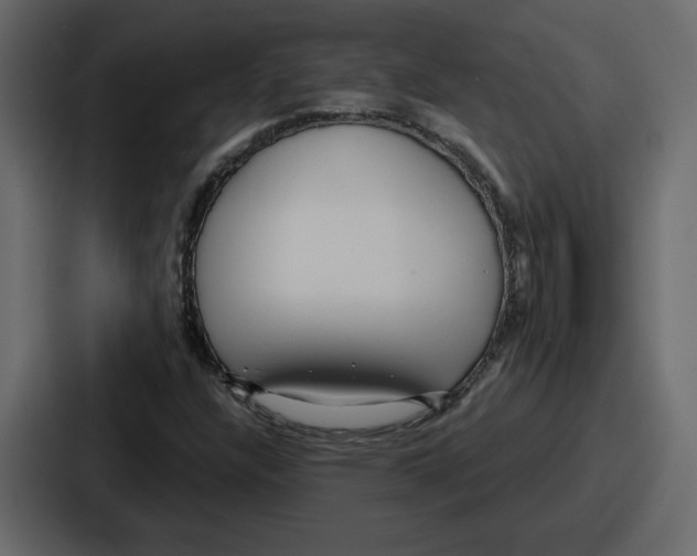 X0000086781304200705111747