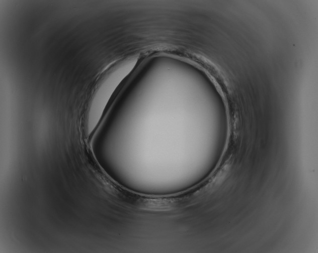 X0000086781305200705111747