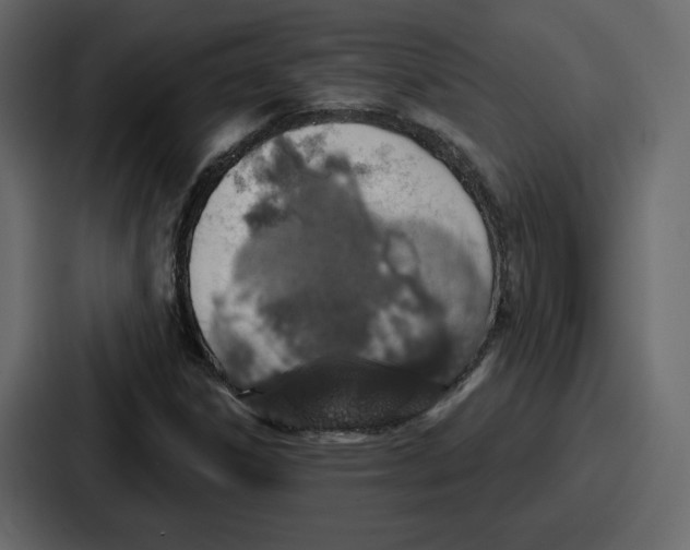 X0000086781306200705111747