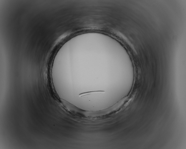 X0000086781307200705111747