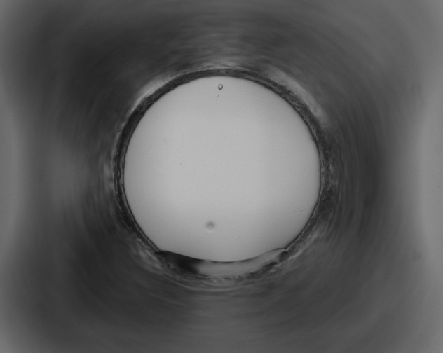 X0000086781308200705111747