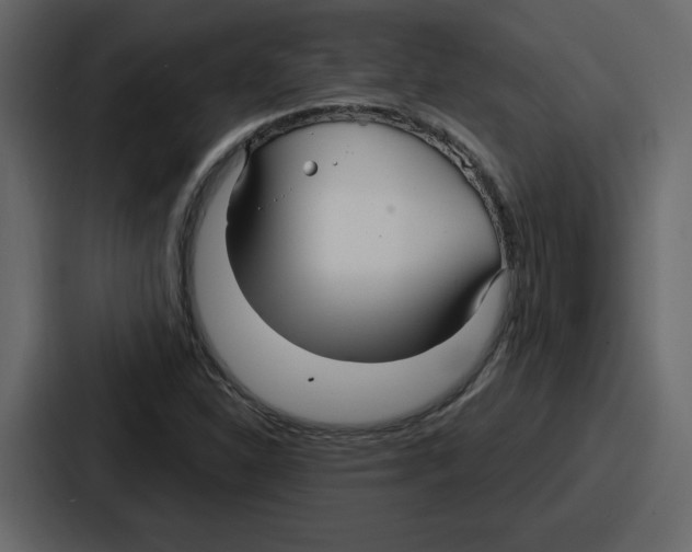 X0000086781310200705111747