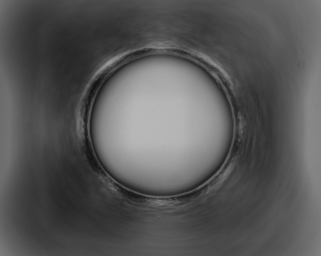 X0000086781311200705111747