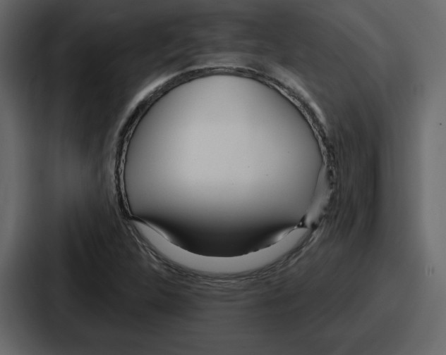 X0000086781312200705111747