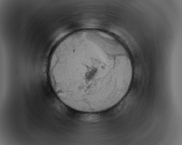 X0000086781314200705111747