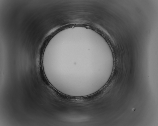 X0000086781315200705111747