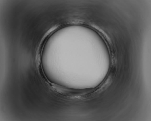 X0000086781317200705111747