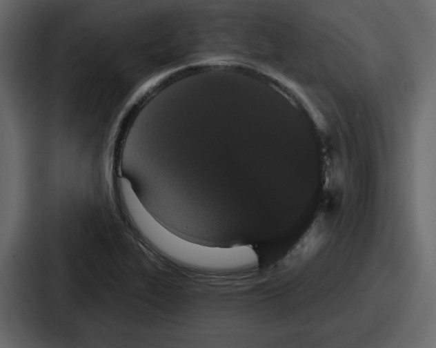 X0000086781319200705111747