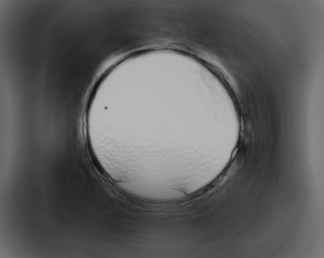 X0000086781320200705111747