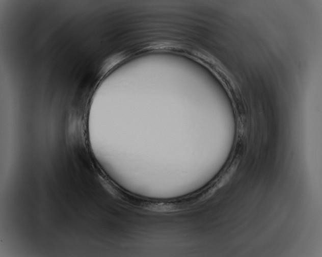 X0000086781321200705111747