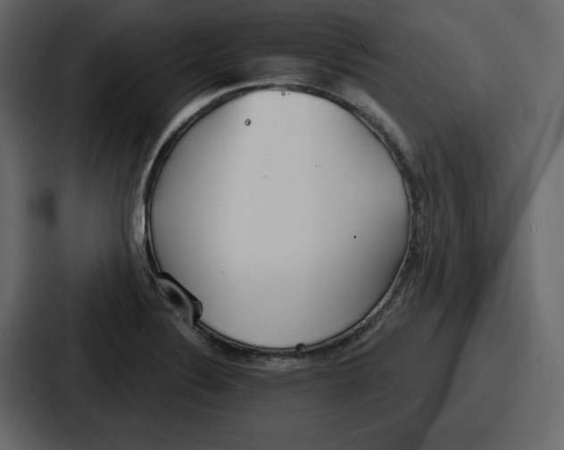 X0000086781324200705111747